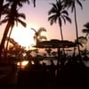 Shweta S.